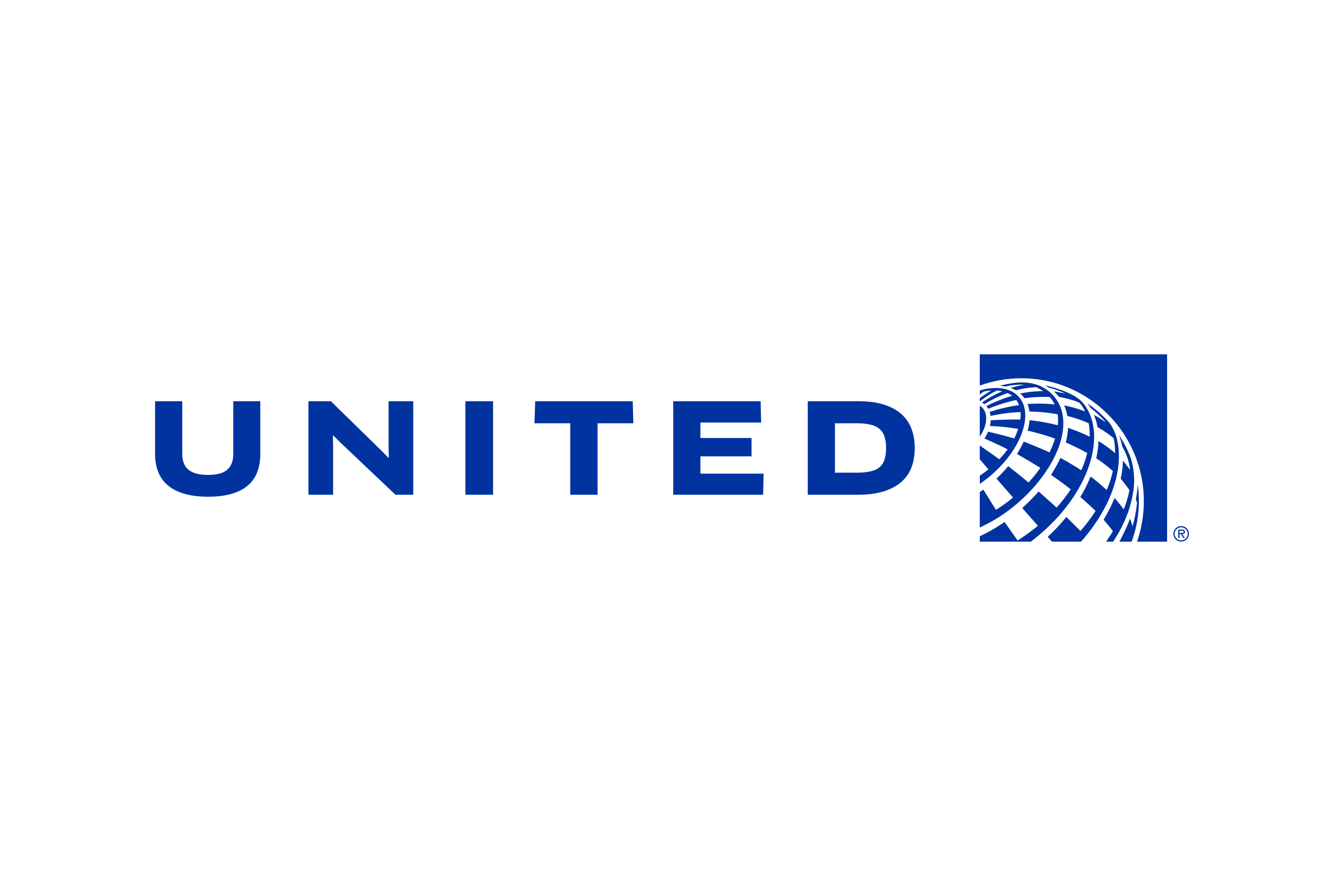 United Airline Dummy Ticket