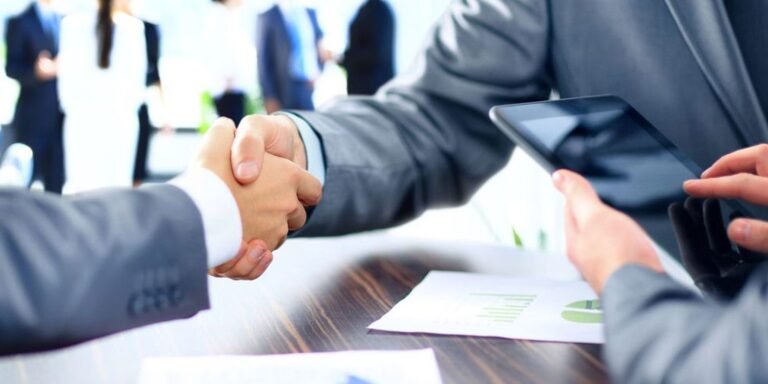 immigration consultant