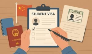 dummy ticket for visa