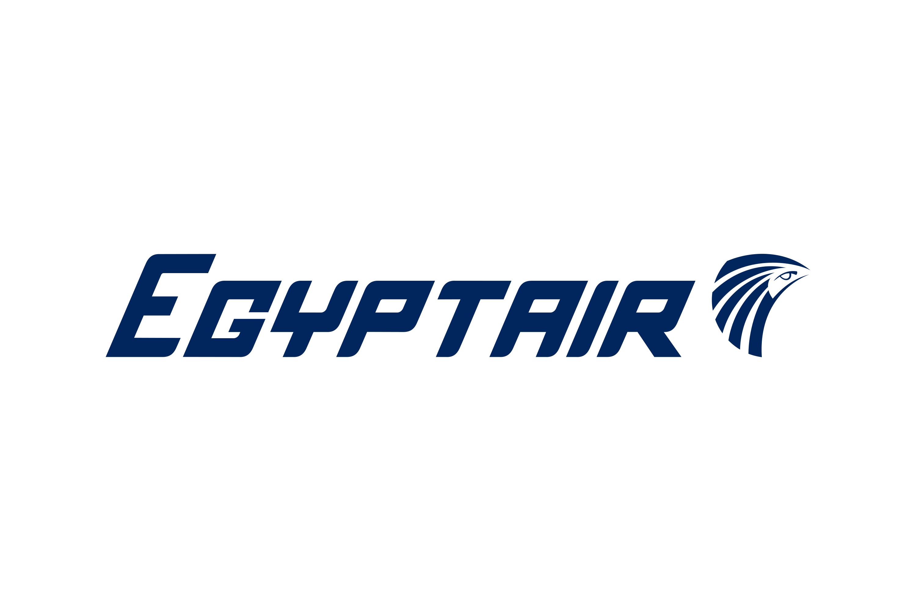 Egypt Air Dummy Ticket
