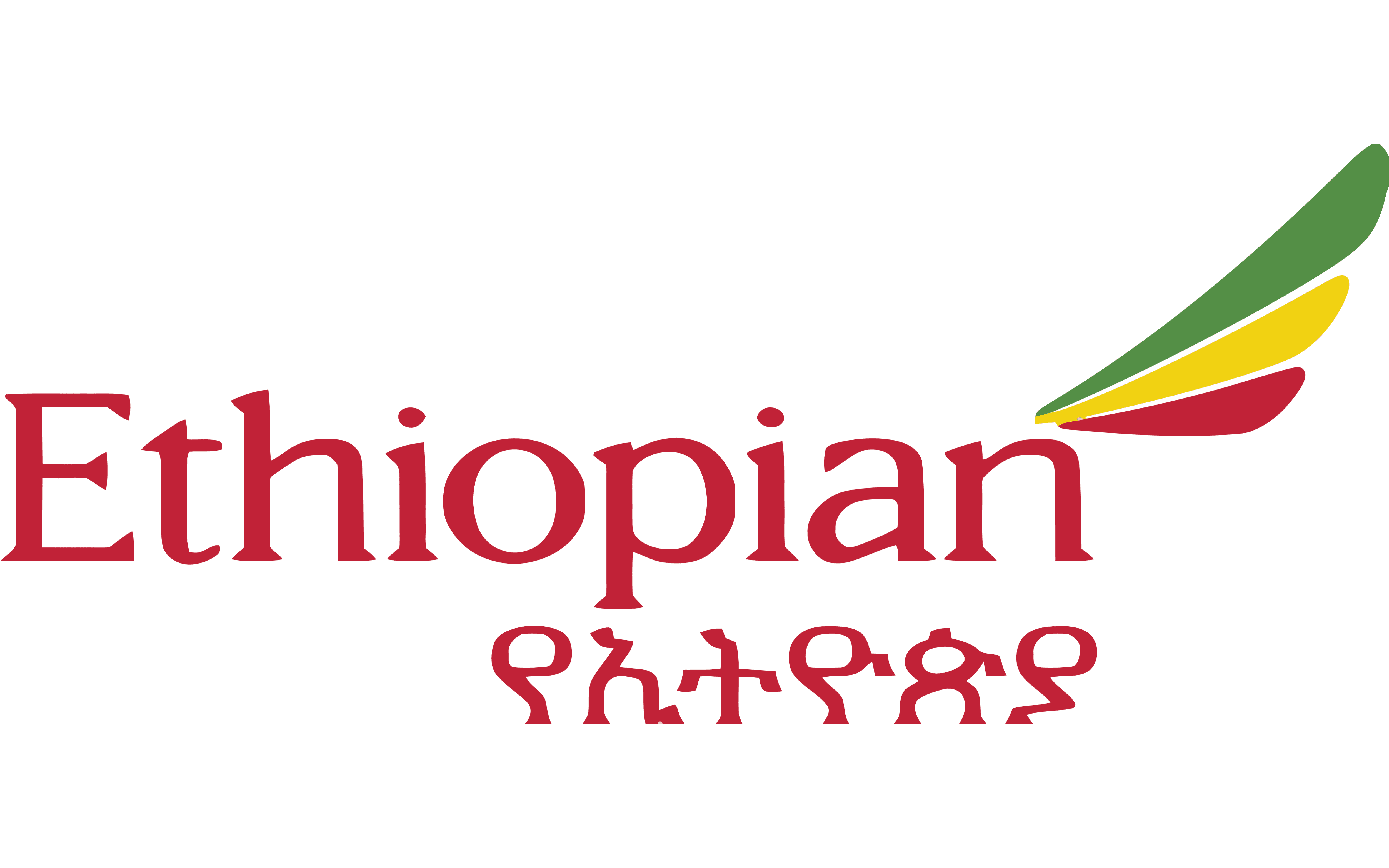 Ethiopian Airline Dummy Ticket